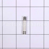 W10856869 Whirlpool Fuse