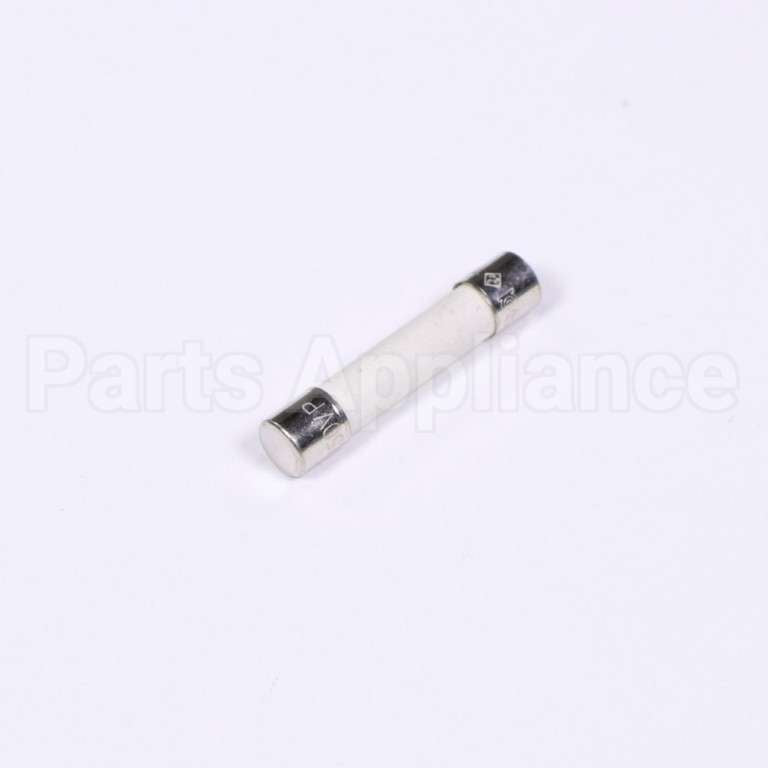 W10856869 Whirlpool Fuse