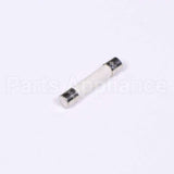 W10856869 Whirlpool Fuse