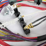 W11176667 Whirlpool Harns-Wire