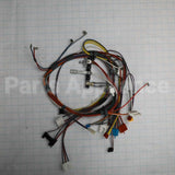 W11176667 Whirlpool Harns-Wire