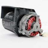 W11213353 Whirlpool Motor-Fan