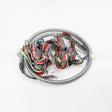 W11245673 Whirlpool Harns-Wire