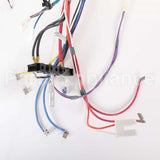 W11262877 Whirlpool Harns-Wire