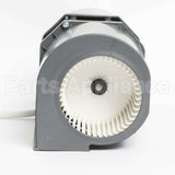 W11373008 Whirlpool Motor-Fan