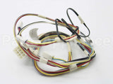 W11661567 Whirlpool Harns-Wire