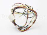 W11661567 Whirlpool Harns-Wire