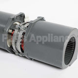 W11662632 Whirlpool Motor-Fan