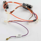 W11676902 Whirlpool Harns-Wire