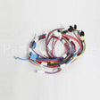 W11707167 Whirlpool Harns-Wire