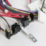 W11707167 Whirlpool Harns-Wire