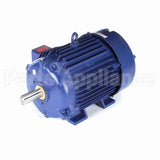 W556A Marathon Motor