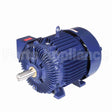 W562A Marathon Motor