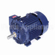 W569A Marathon Motor