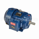 W594A Marathon Motor