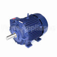 W600A Marathon Motor