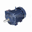 W618-P Marathon Motor