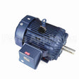 W618A Marathon Motor