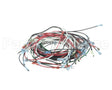 W6900 Nemco Wire Harness