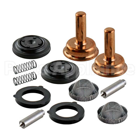 W7438K2 Valve Rebuild Kit - Double Compatible