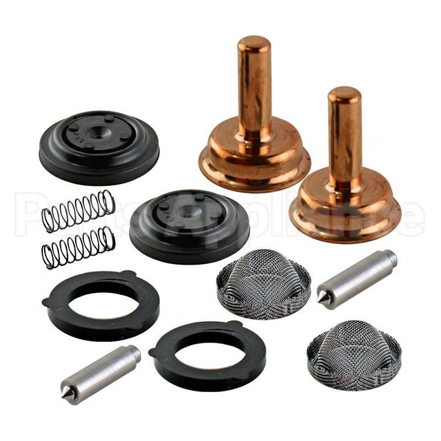 W7438K2 Valve Rebuild Kit - Double Compatible
