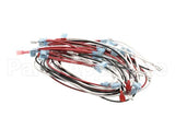 W8075-SSA Nemco Wireset, 75 Capacity W/Readout