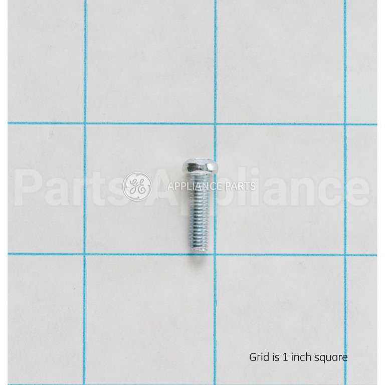 WB01K10046 GE Scr M4X.07 Trp S