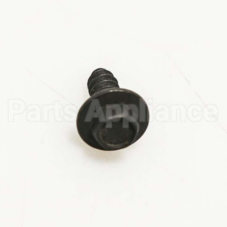 WB01T10103 GE Scr 10-16 Ab Hxw .532