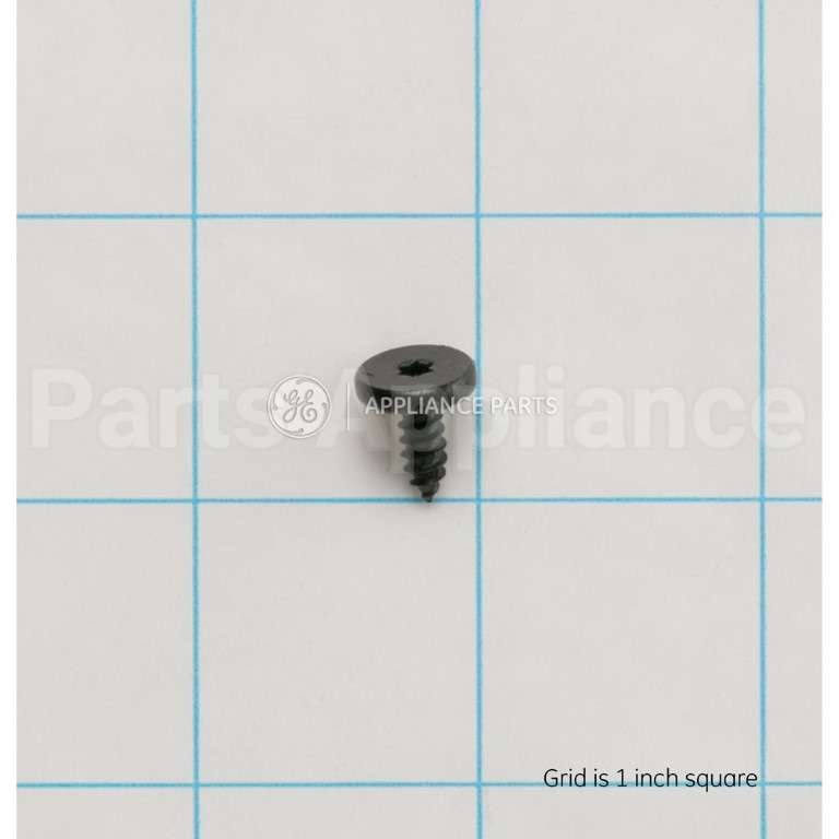 WB01T10110 GE Scr 8-18X.450 Ab Flt20 S