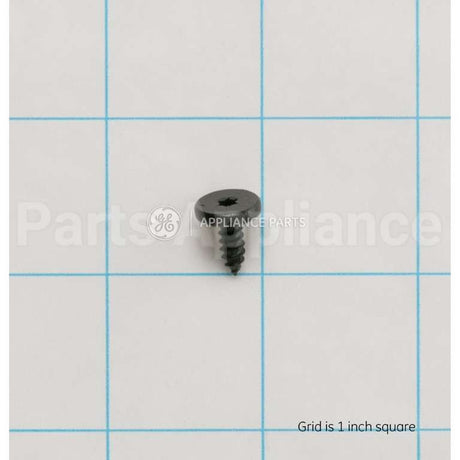 WB01T10110 GE Scr 8-18X.450 Ab Flt20 S