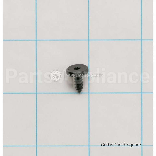 WB01T10110 GE Scr 8-18X.450 Ab Flt20 S