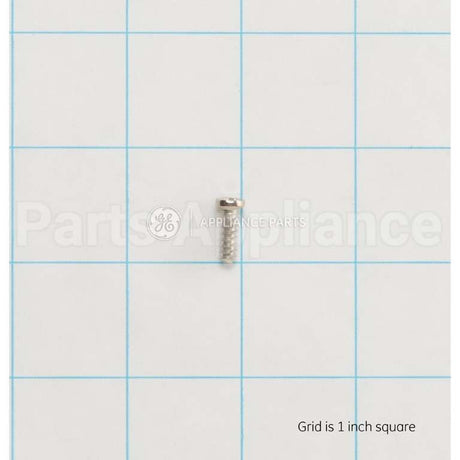 WB01T10115 GE Scr 8-18 Ab Hw 1/2 S