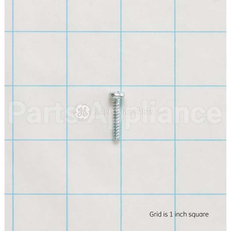 WB01X10434 GE Screwst4*20Tbhc