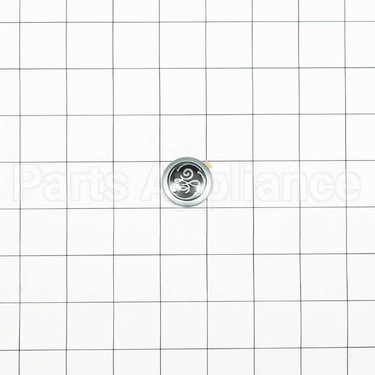 WB02T10359 GE Badge Ge