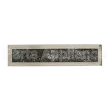 WB02X11550 GE Microwave Charcoal Filter
