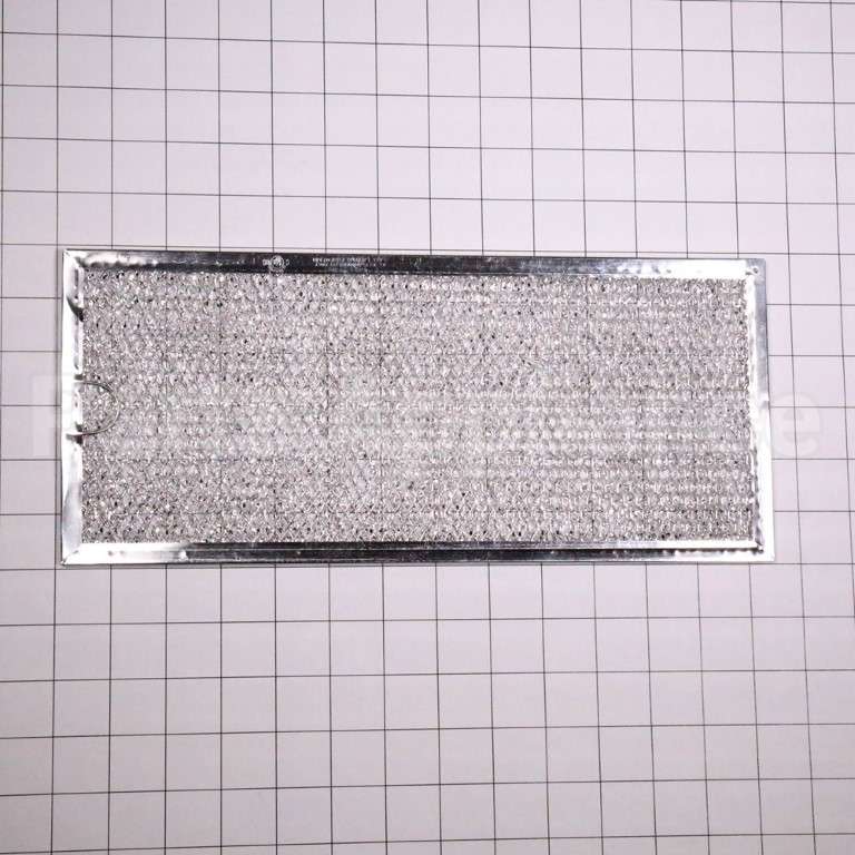 WB06X10596 GE Filter-Air
