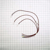 WB18K10098 GE Electrodes & Harness Hv
