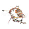 WB18T10595 GE Harness Wire Main