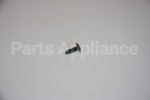 WB1K5029 GE Screw