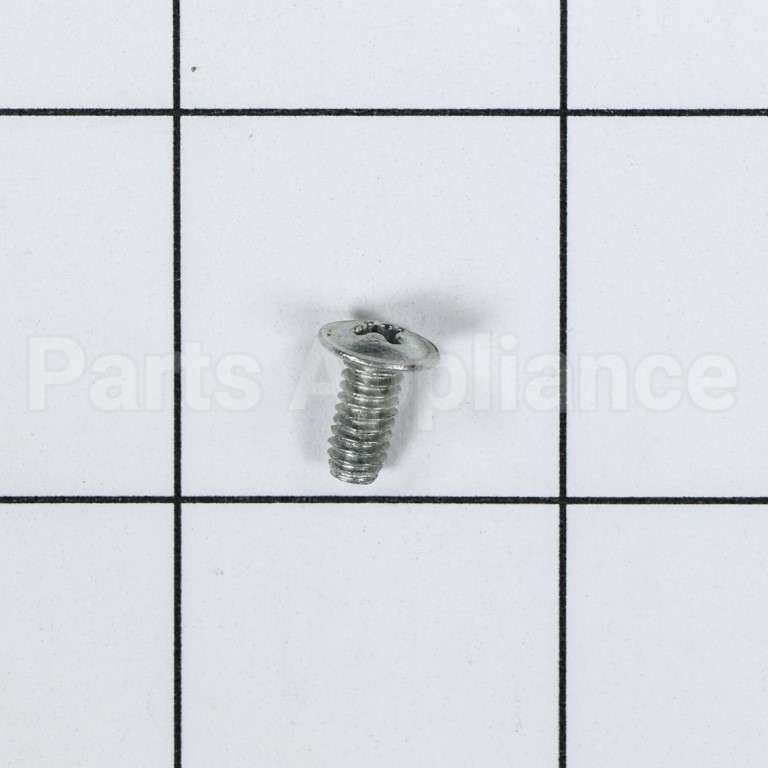 WB1K5119 GE Screw
