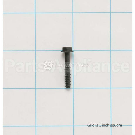 WB1K5156 GE Screw