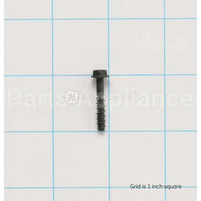 WB1K5156 GE Screw