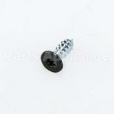 WB1K62 GE Screw Head Painted Black