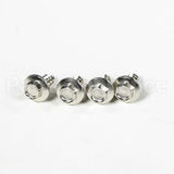 WB1M1 GE Screw