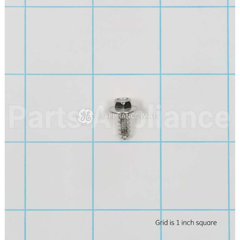WB1M1 GE Screw