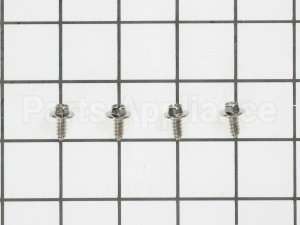 WB1M1 GE Screw