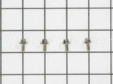 WB1M1 GE Screw