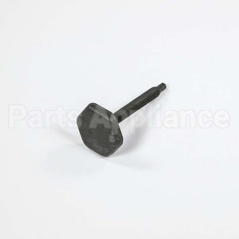 WB1M18 GE Level Screw