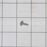 WB1X1515 GE Screw