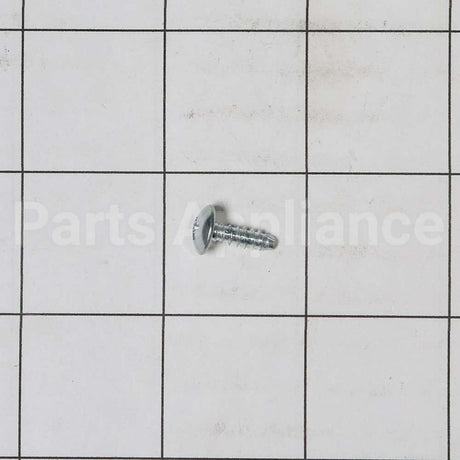 WB1X1515 GE Screw
